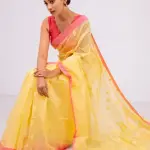 Eli Saree